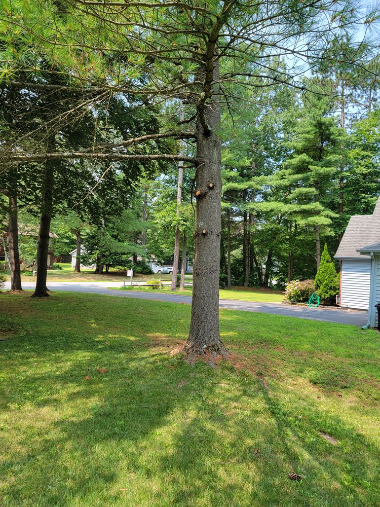 All Photos for Sweet Scapes in Ballston Spa, NY