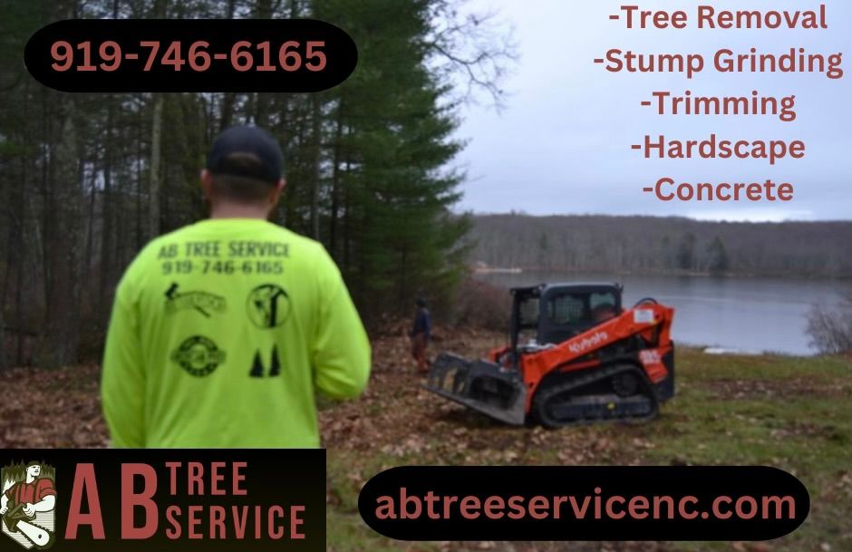 All Photos for AB Tree Service in Raleigh, NC