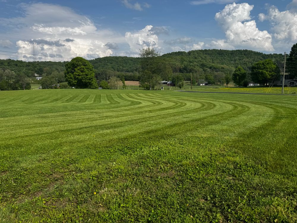 Lawn Care for Hale’s Hydroseeding in London, KY