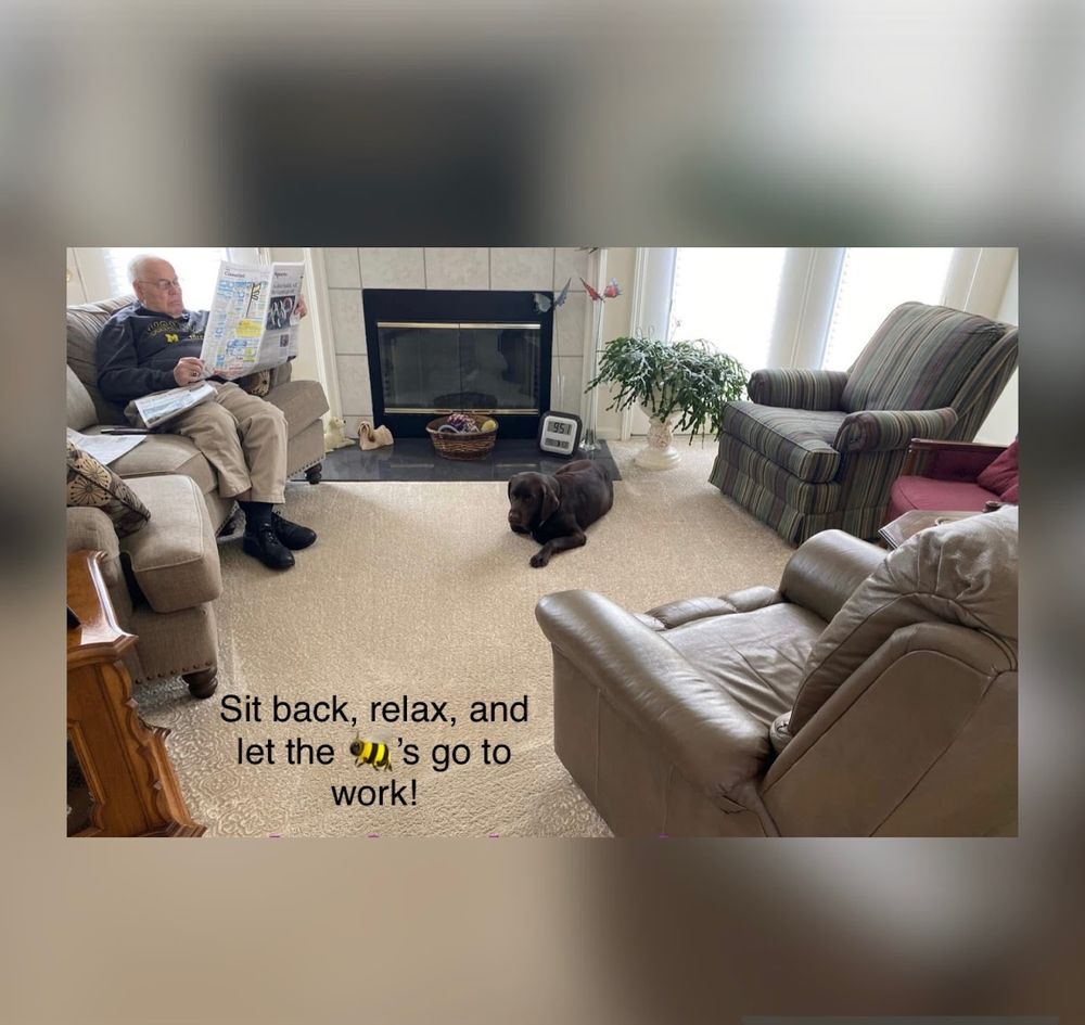 All Photos for Busy B's Professional Cleaning in Birch Run, MI