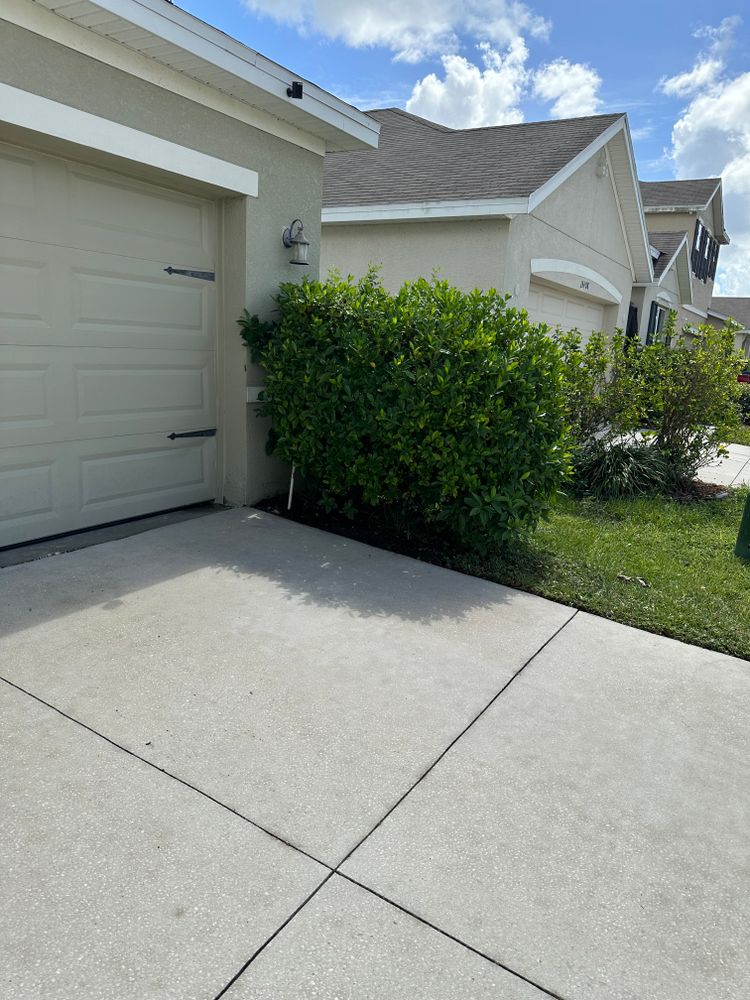 All Photos for The Yardman in Tampa, FL