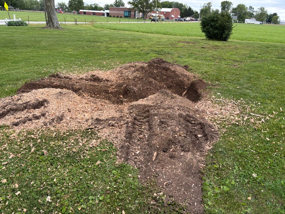 All Photos for Conrad's Stump Removal in Columbus, IN