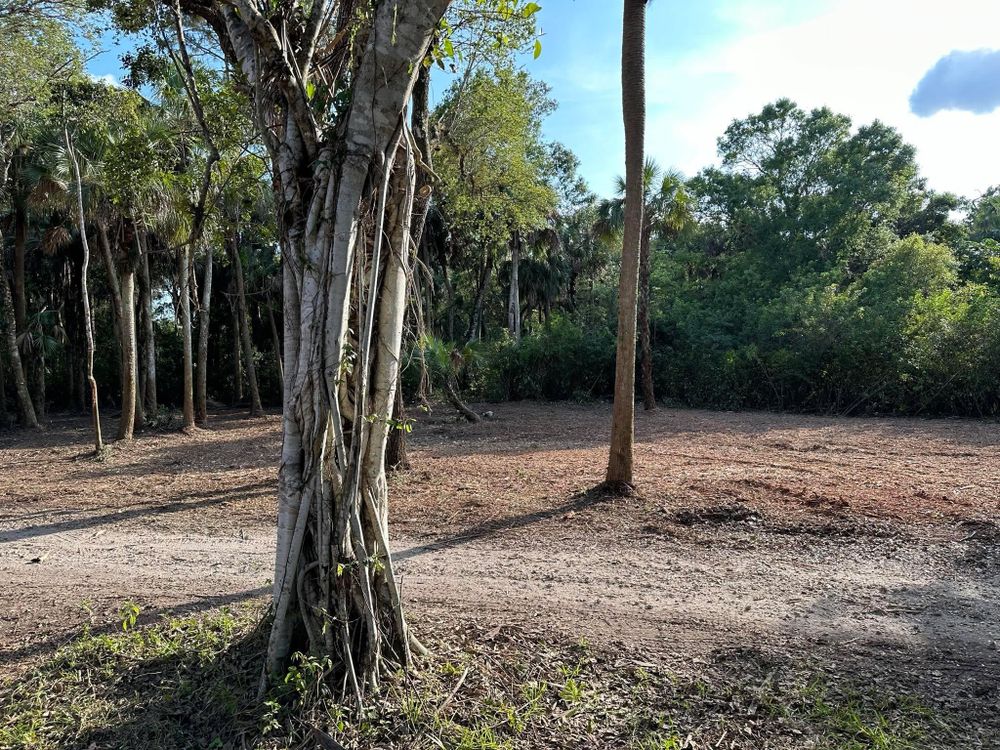 All Photos for McLeran in Naples, FL