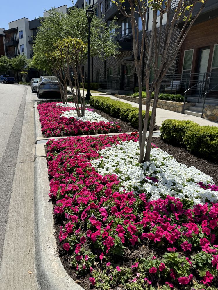 Seasonal color changes for Guerrero's Landscape in Fort Worth,  TX