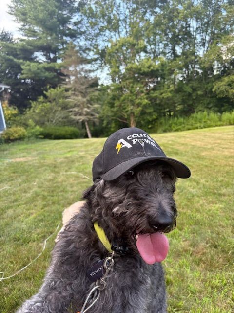 All Photos for Accurate Power in Mansfield Center, CT