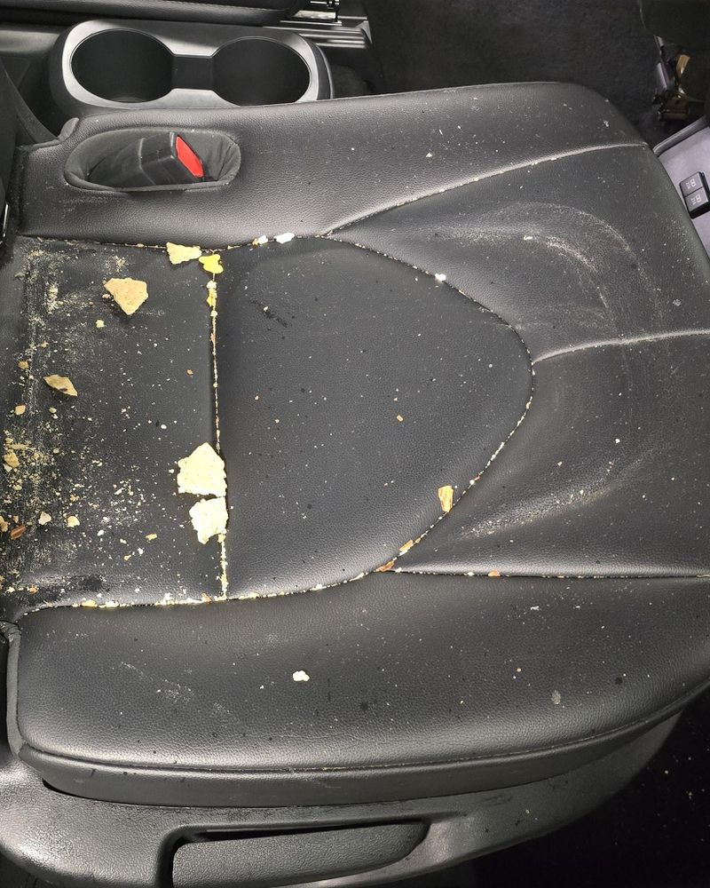 All Photos for Luxury Auto Detail in Peoria, IL