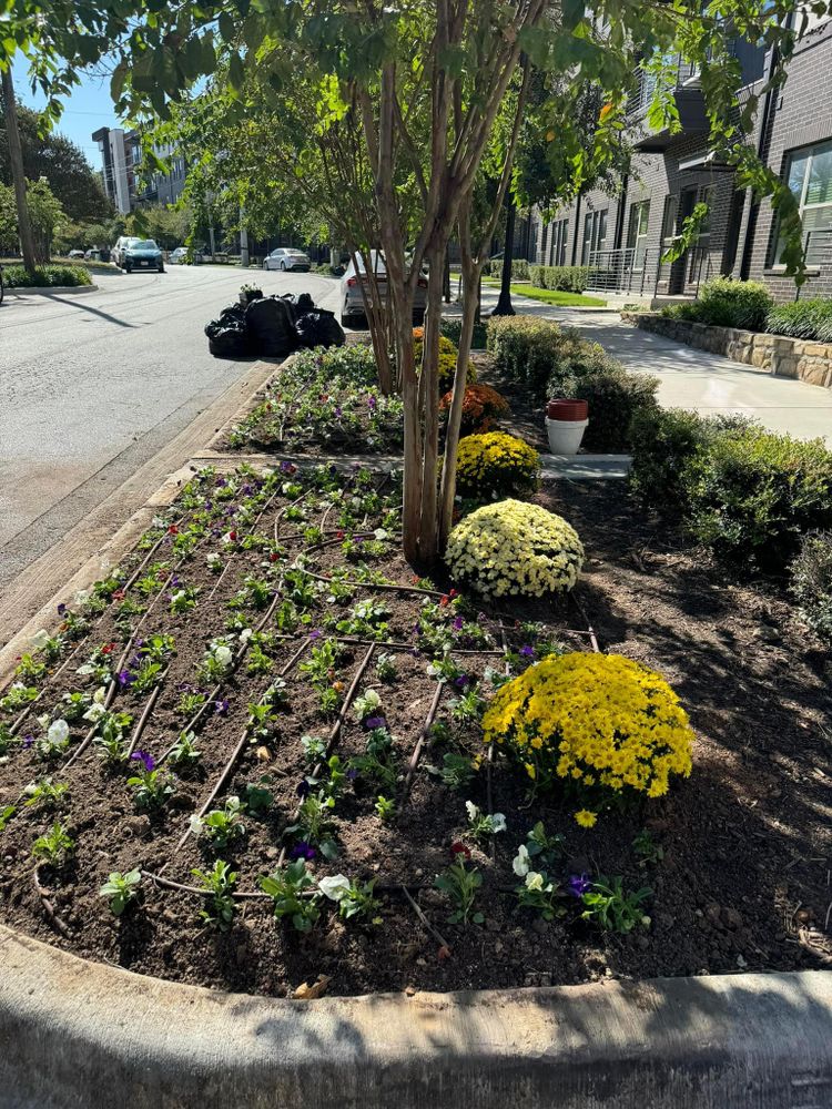 Seasonal color changes for Guerrero's Landscape in Fort Worth,  TX