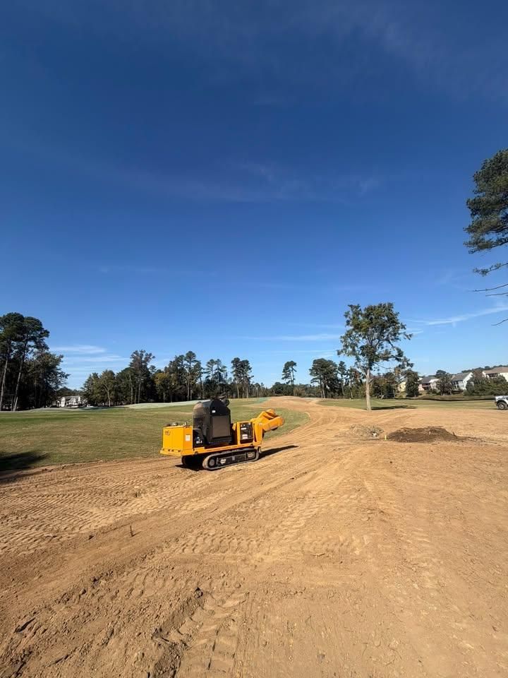 All Photos for Dozier Stump Grinding in Augusta, GA