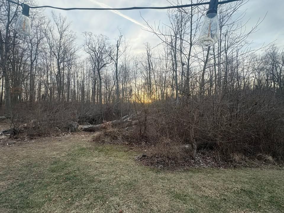 All Photos for Dig-It Tree Company in Mason, OH