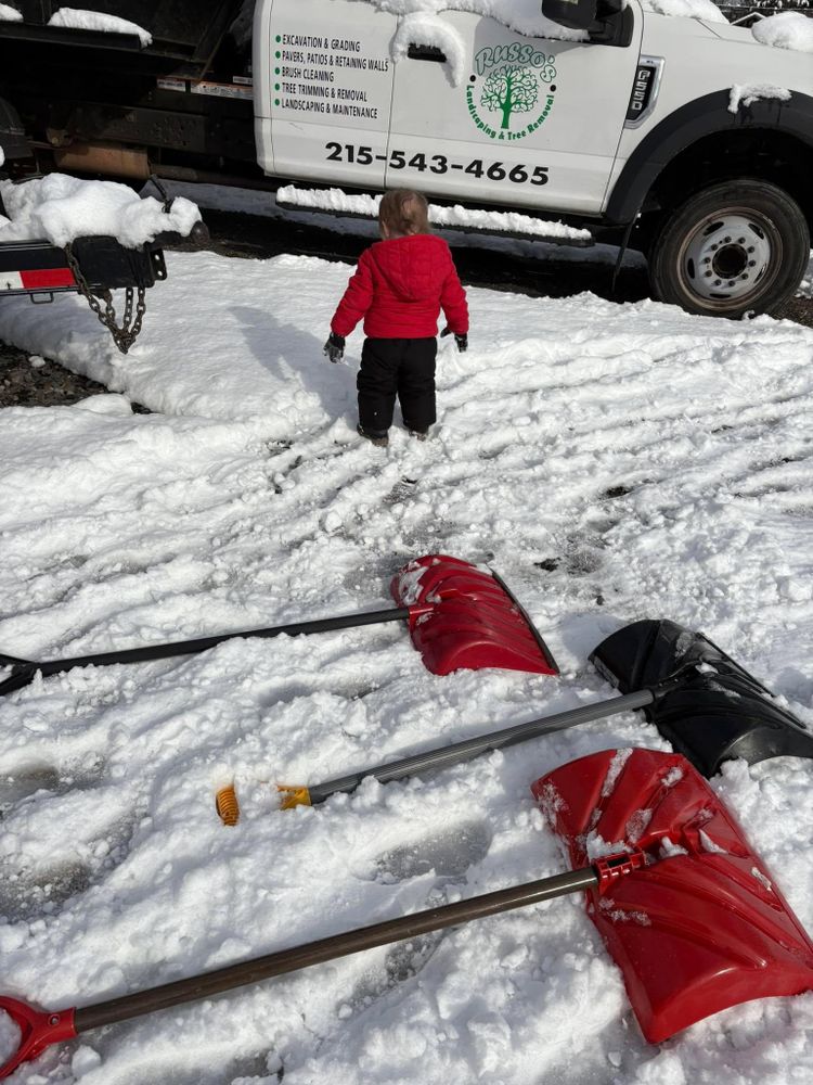 All Photos for Russo’s Landscaping & Tree Removal in Levittown, PA