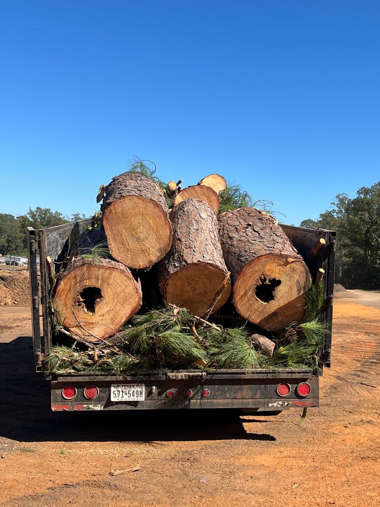 All Photos for JC Land and Tree Service in Kilgore, TX