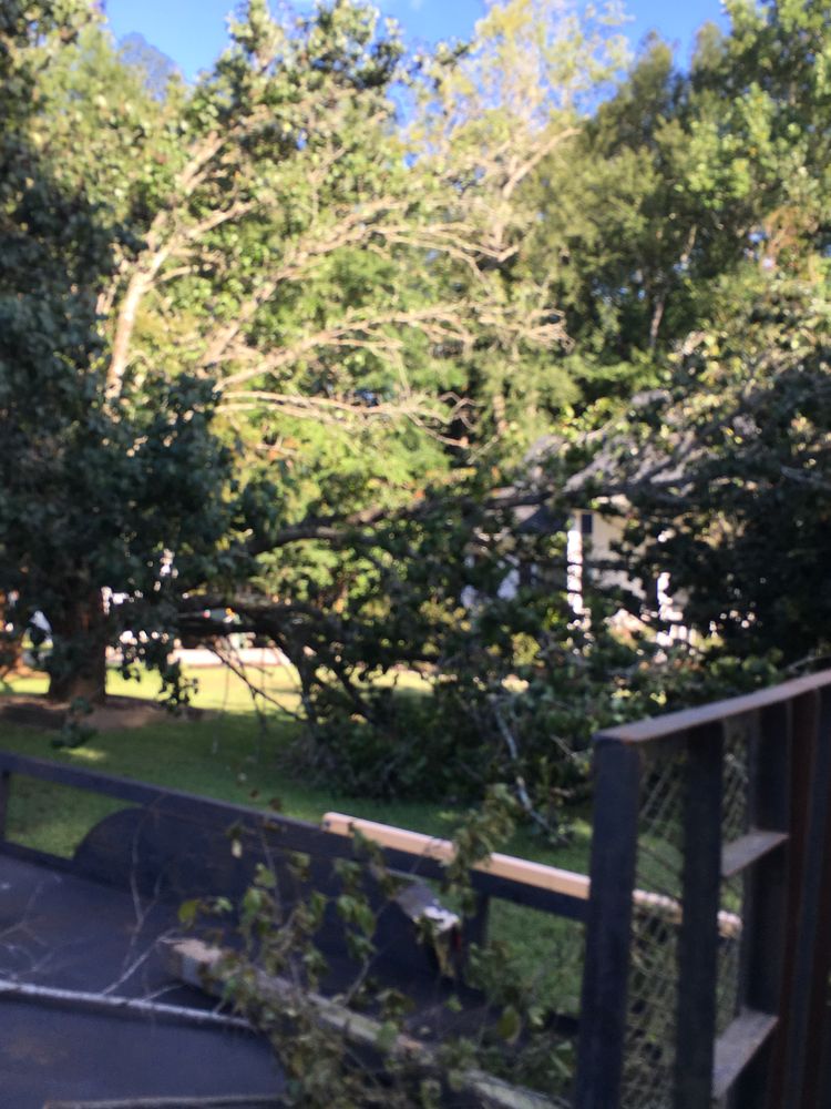 All Photos for Tucker's Tree Service and Stump Grinding in Lugoff, SC