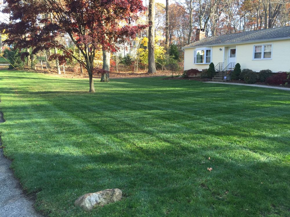 All Photos for Matty L's Lawn and Tree Care in Monroe, CT