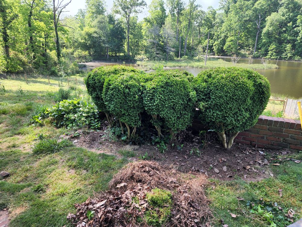 All Photos for CJC Landscaping, LLC in Athens, Georgia