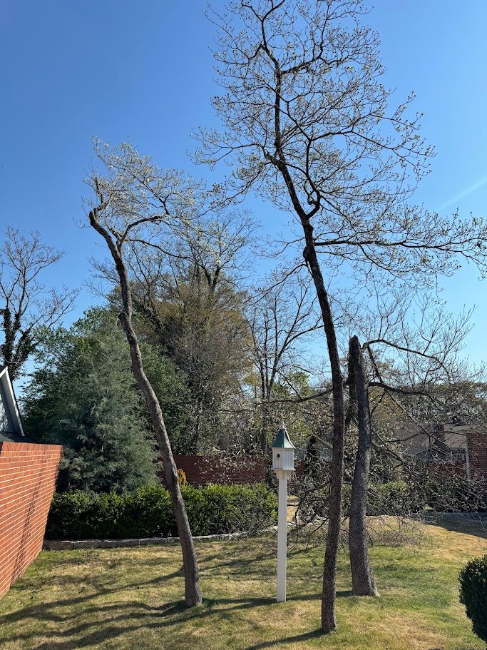 All Photos for Deeply Rooted Lawns – Hydroseeding & Sod Installation Services in Winder, GA