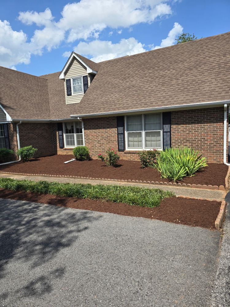 Before and after  for Optimum Tree Service And Landscaping in Bowling Green, KY