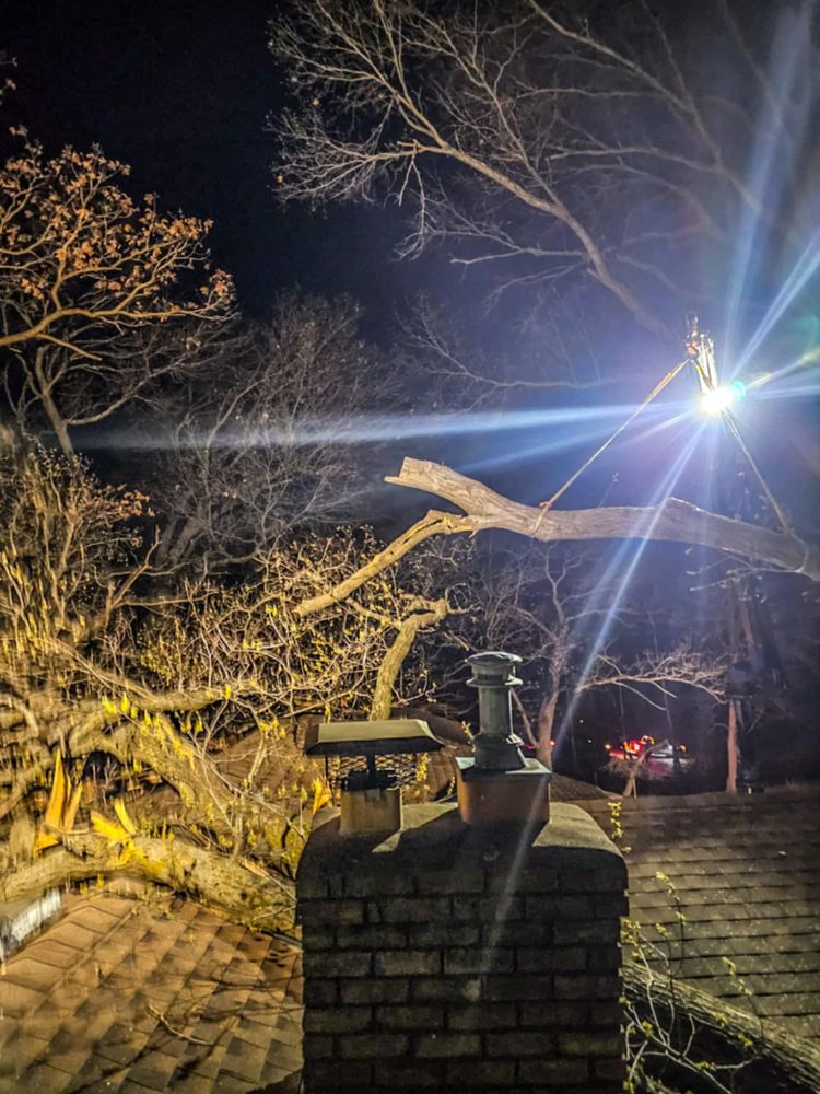 All Photos for Down To Earth Tree Service in Red Wing,  Minnesota