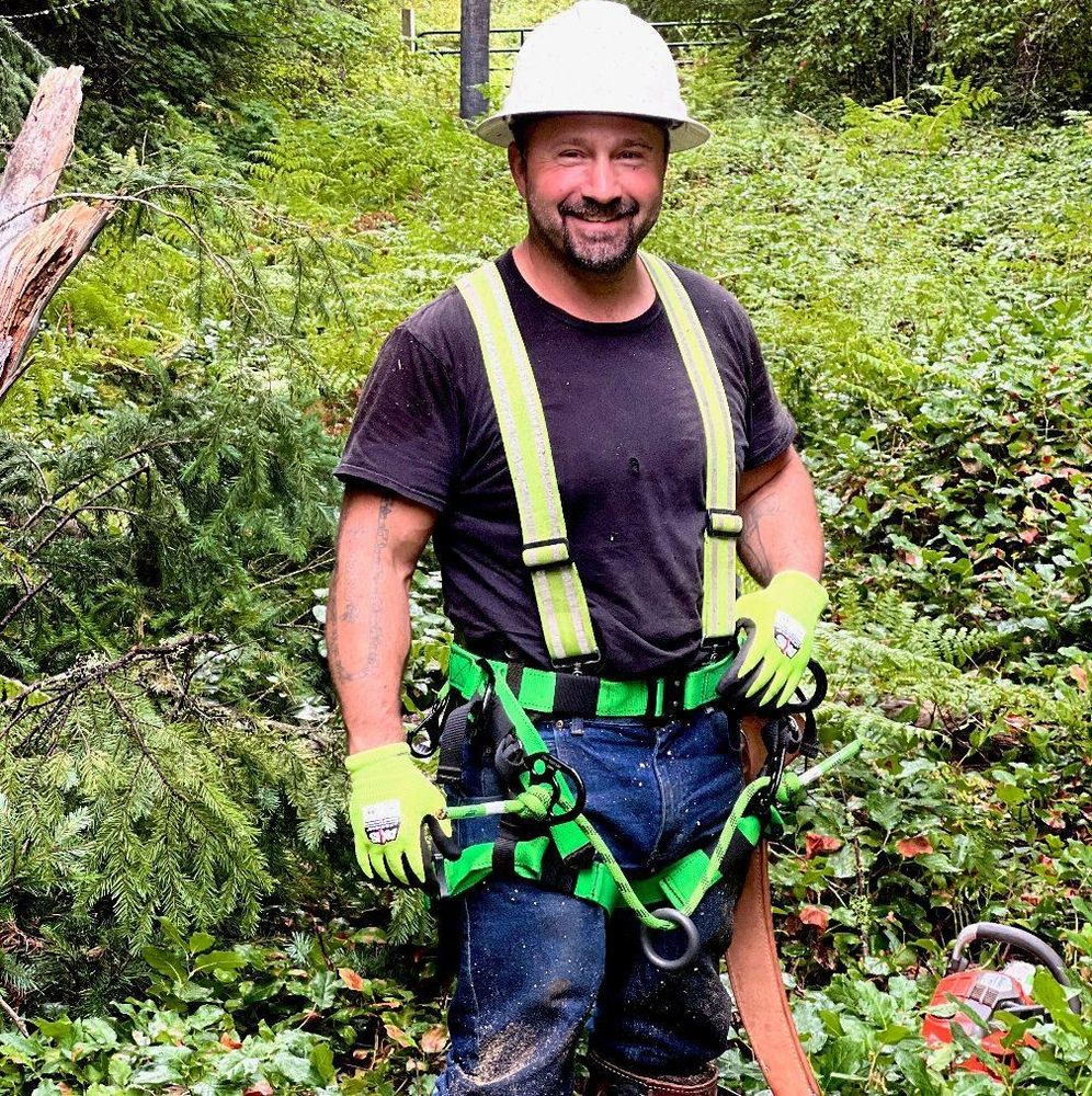 Tree Removal for Clippys Tree Pros in Stayton, OR