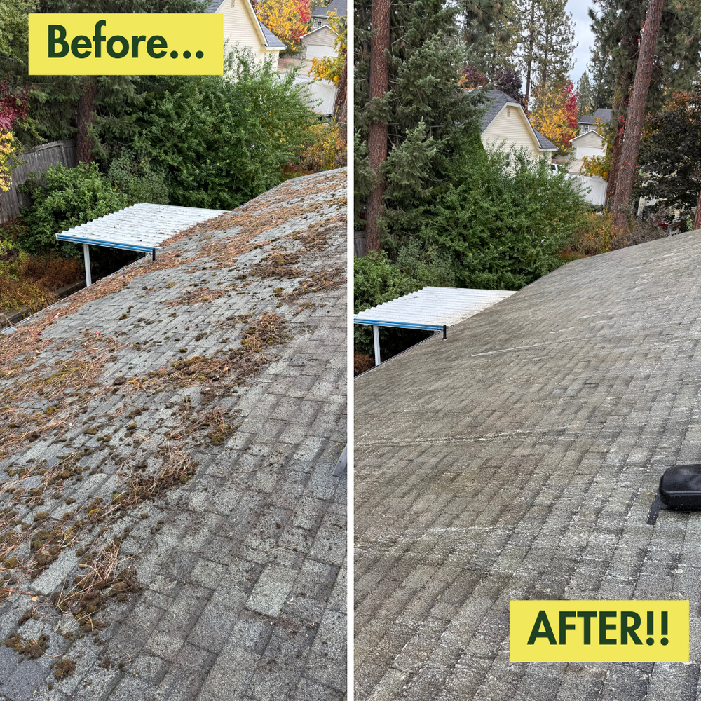 Before & After Photos for Swift Serve in Coeur d'Alene, ID