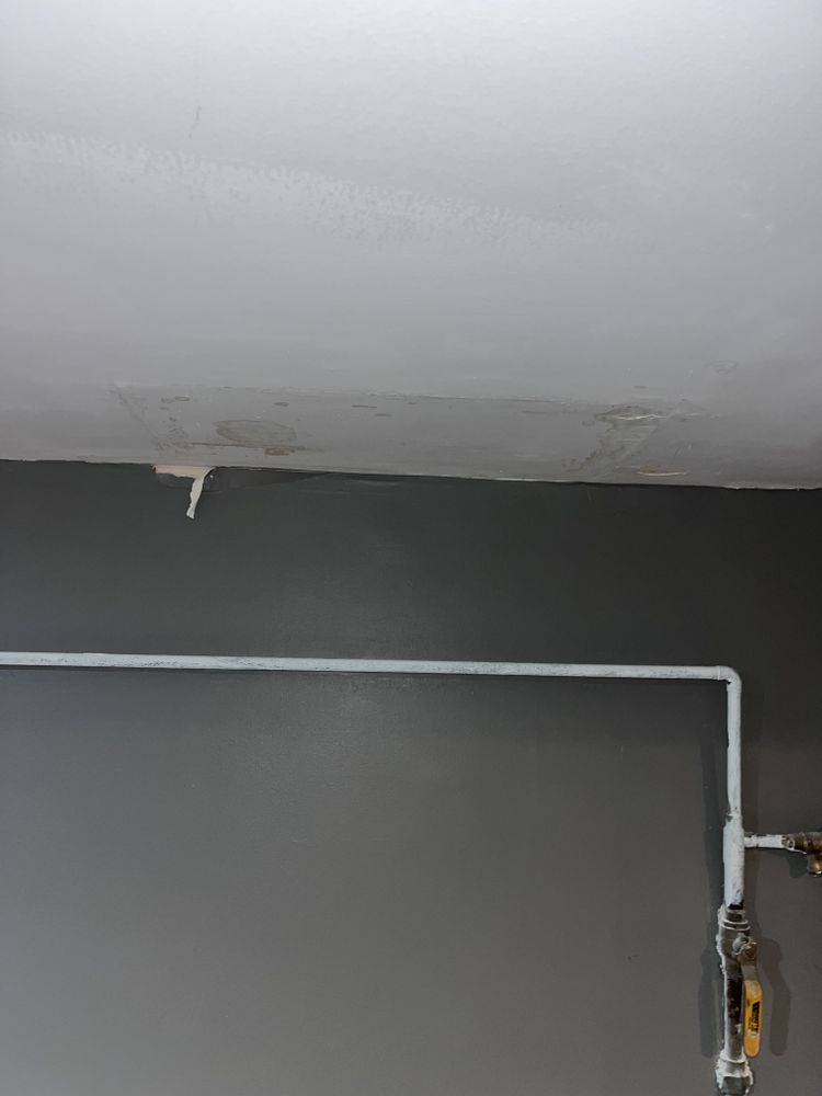 Steeleville bath for Dead Tree General Contracting in Carbondale, Illinois