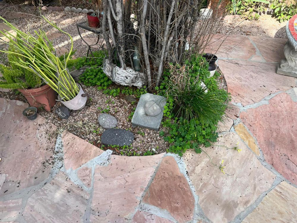 All Photos for Sammy’s Yard Maintenance And Irrigation Repairs in Oracle, AZ