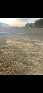 All Photos for Stone's Tree Services and Landscaping in Midland, TX