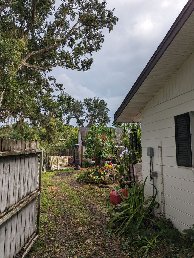 All Photos for Regal Tree Service and Stump Grinding in Wauchula, FL