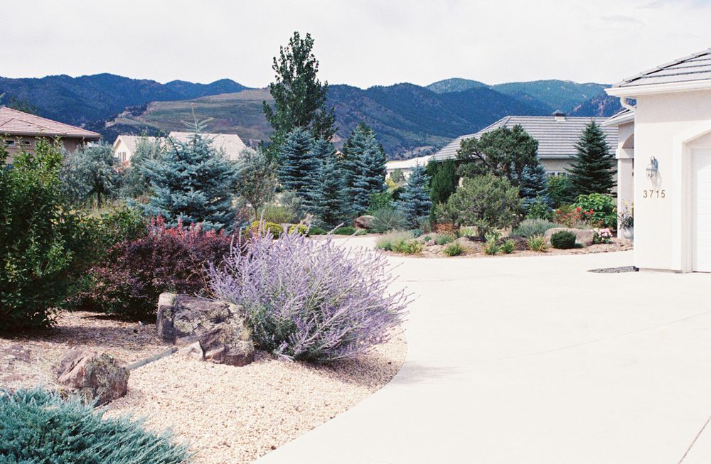 Themed Horticultural Designs for Martin Stanko Landscape Construction in Livermore, CA