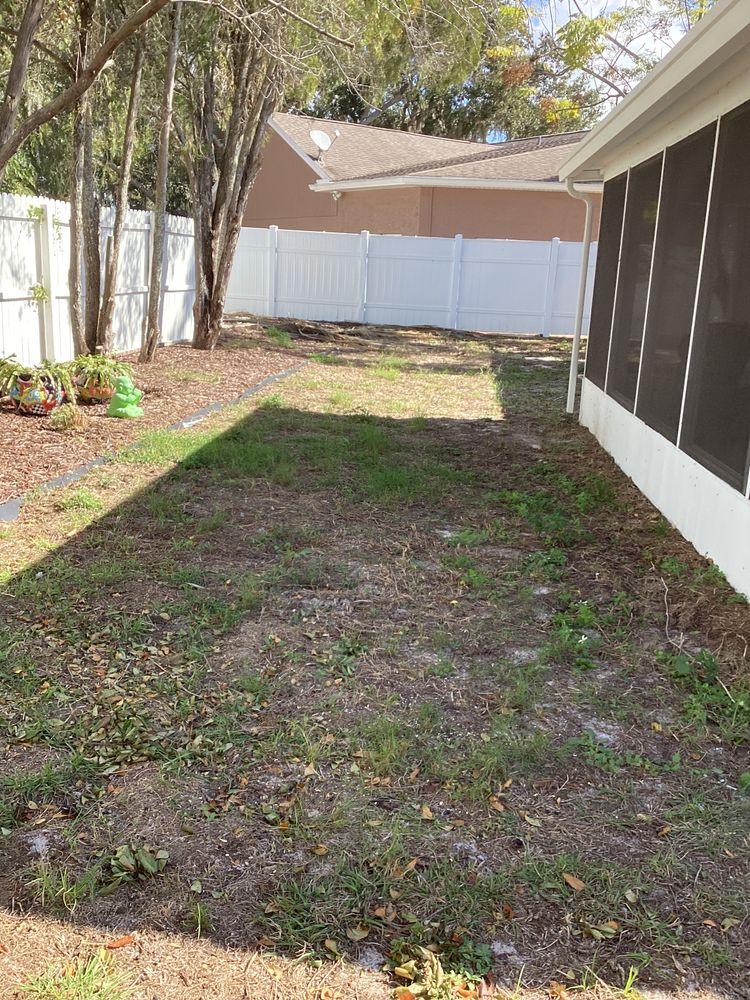 All Photos for GS Lawn & Landscape in Clearwater, FL