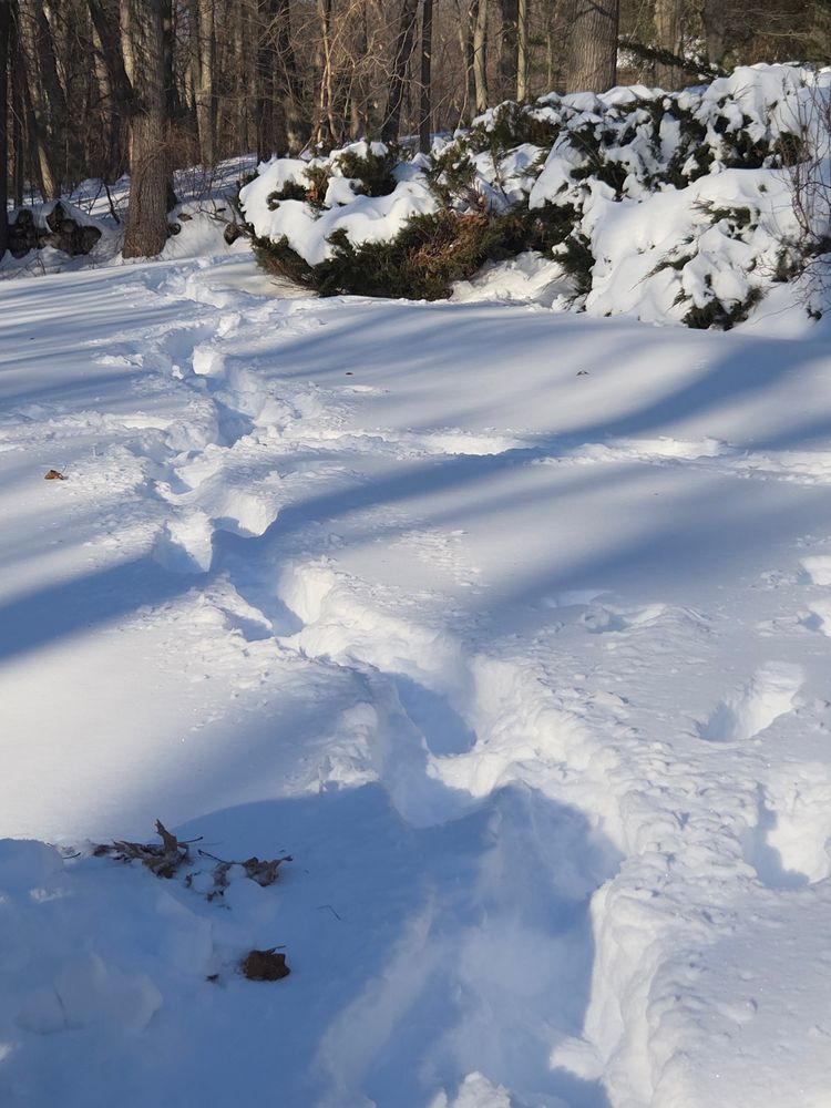 All Photos for Cody's Excavation and Septic in Plainville, CT