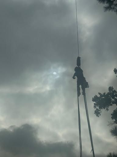 All Photos for Rawls Tree Care in Richmond, VA