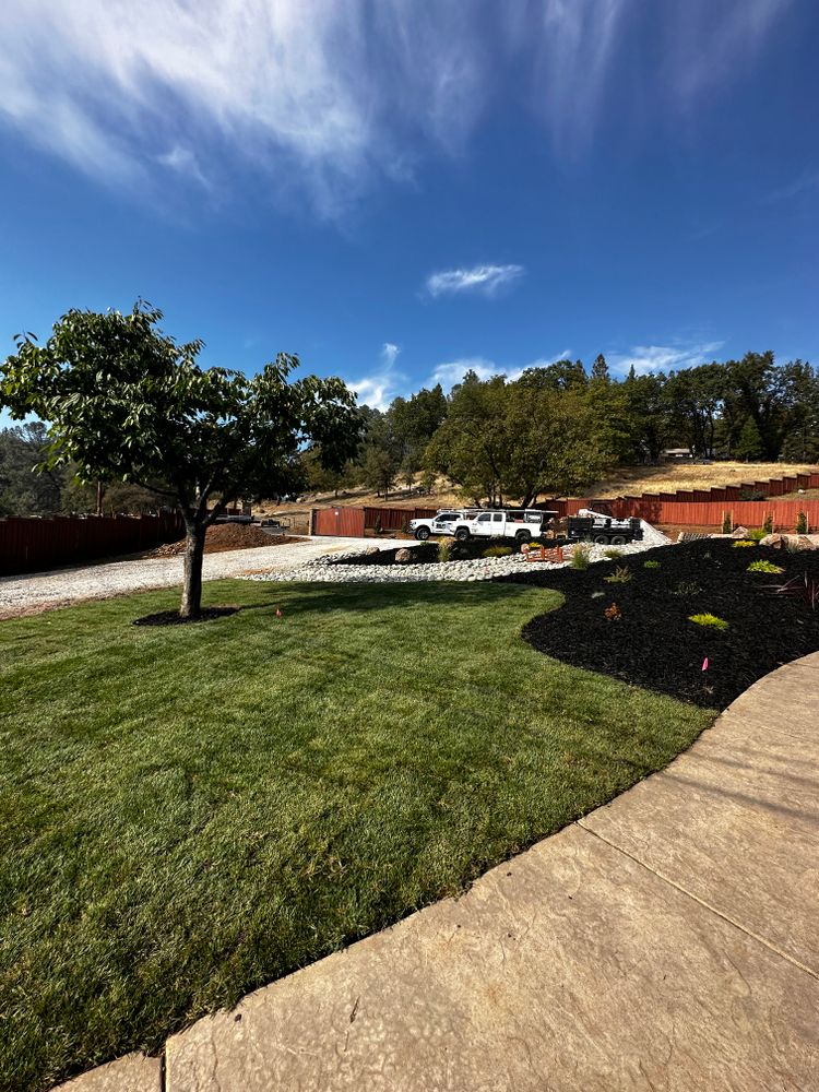 All Photos for Diamond Landscape & Hardscape in Diamond Springs, CA
