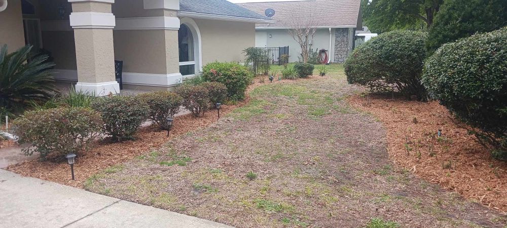 All Photos for O'Donnell Tree and Handyman Services in Pine Ridge, FL