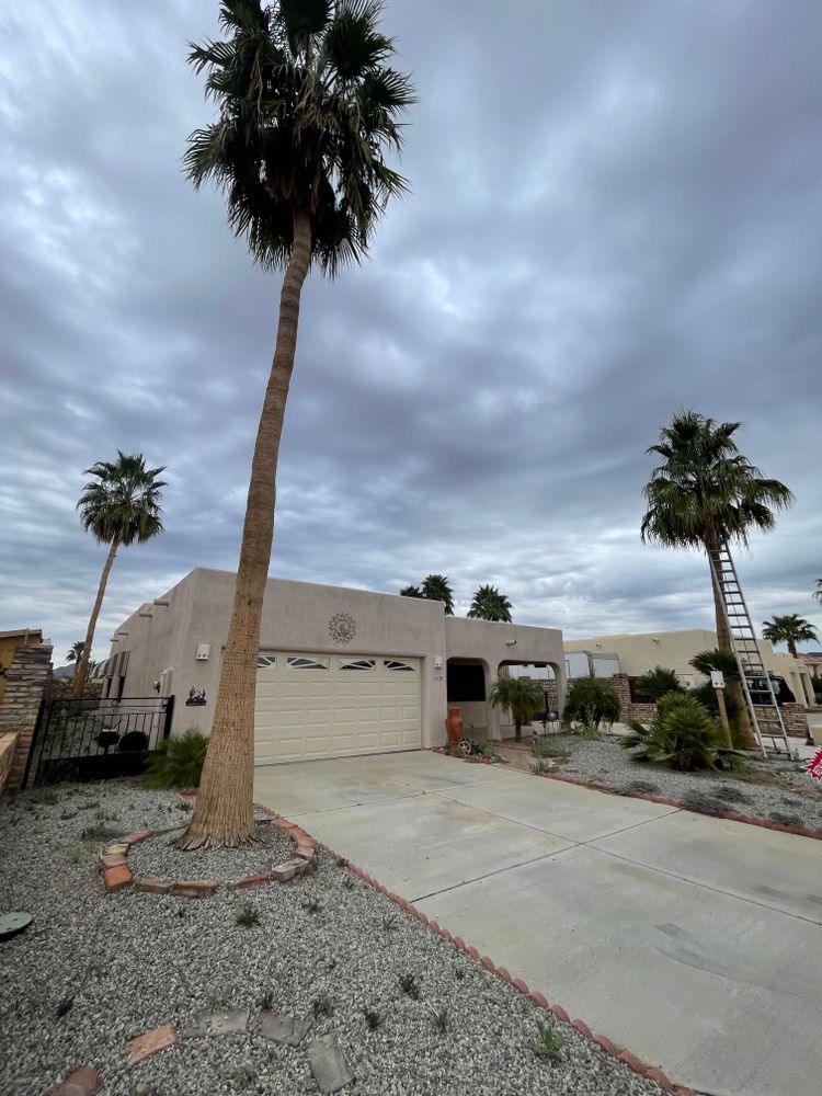 All Photos for Oliver L. Palm & Tree services in Yuma County, AZ