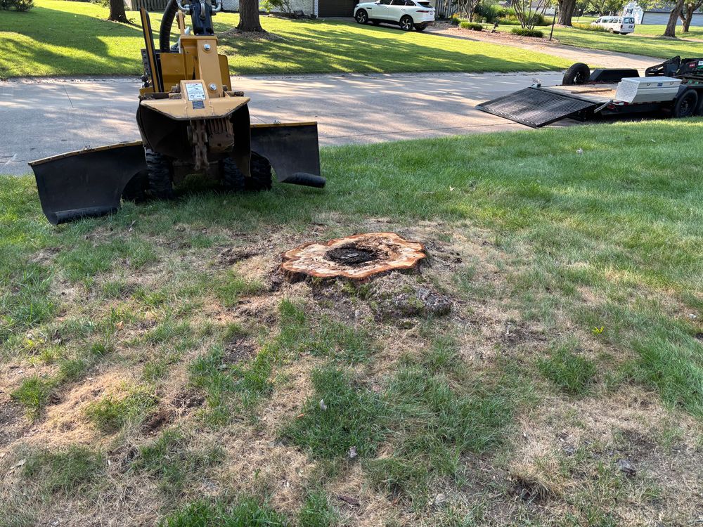 All Photos for Conrad's Stump Removal in Columbus, IN