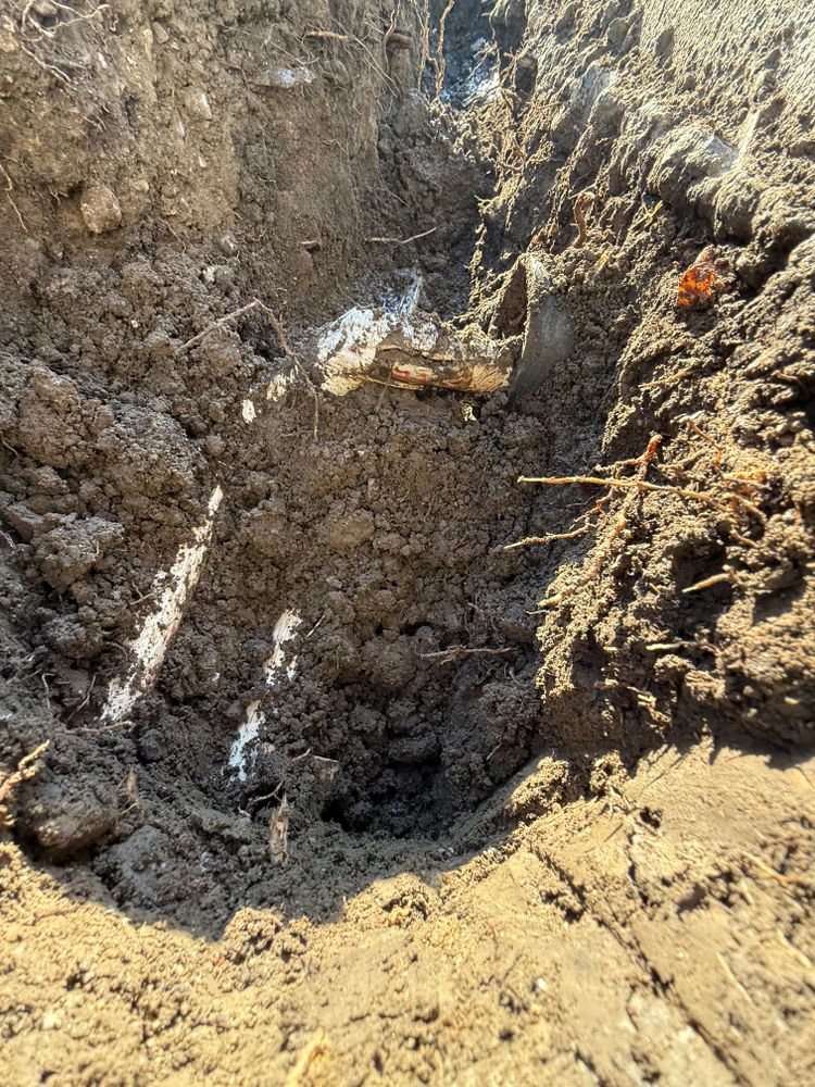 All Photos for CBA Landscaping in Hayward, CA