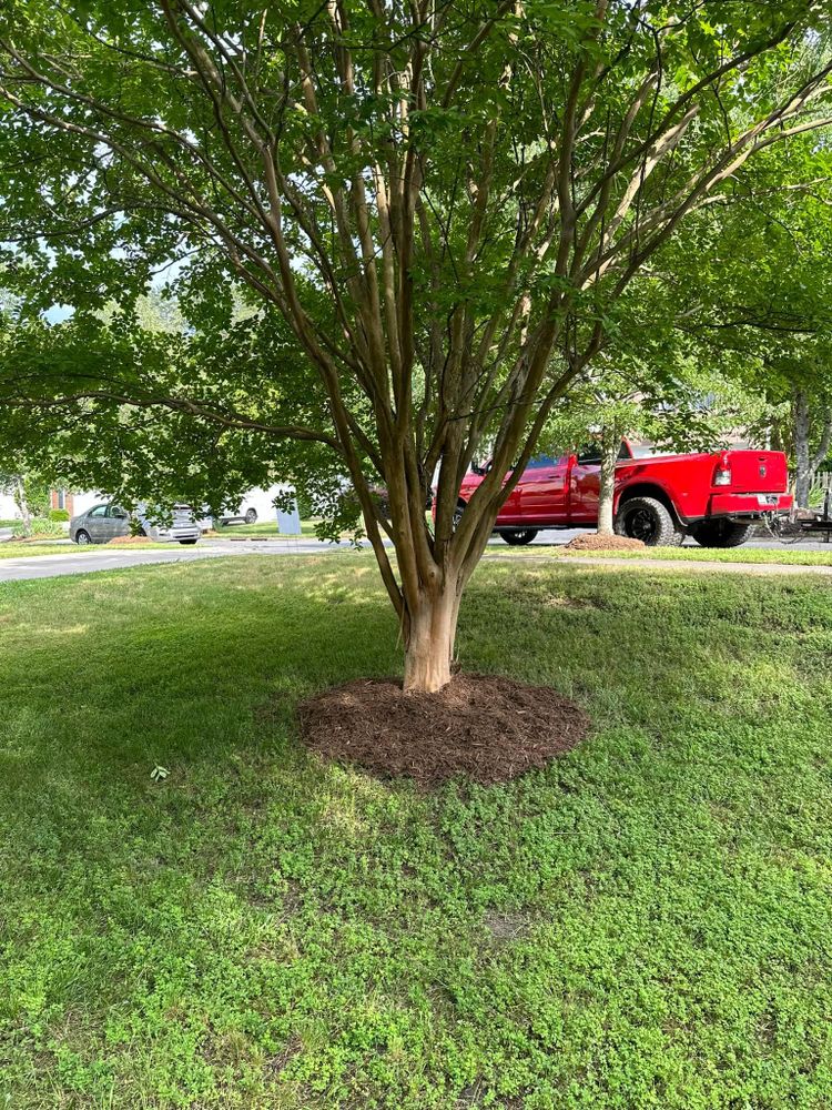 All Photos for Cisco Kid Landscaping Inc. in Lincolnton, NC