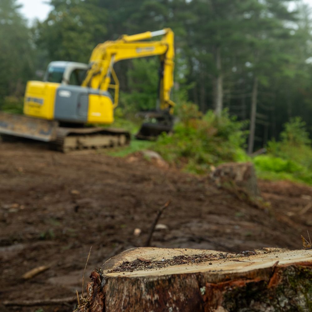 Lawn Makeover for Andy Naylor Excavation in Stowe, VT