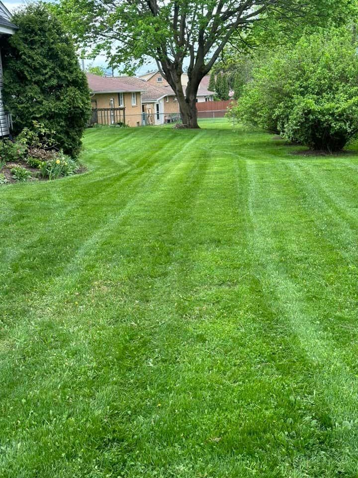 Residential & Commercial Lawn Rolling, Care and Maintenance for Hauser's Complete Care INC in Depew, NY