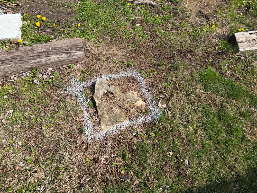 All Photos for Conrad's Stump Removal in Columbus, IN
