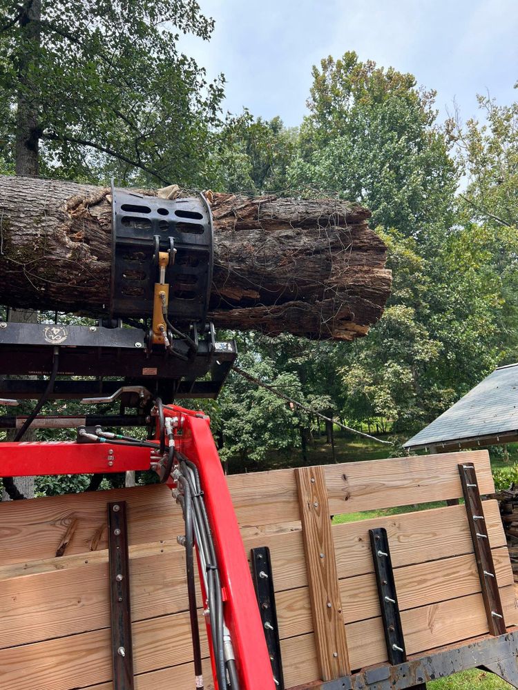 All Photos for Brooks Tree Service in Casar, NC