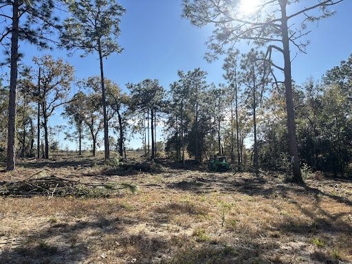 All Photos for Aztec Land Destroyers LLC in Ocala, FL