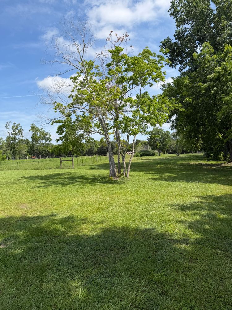 All Photos for CKD's Mulching Services in League City, TX