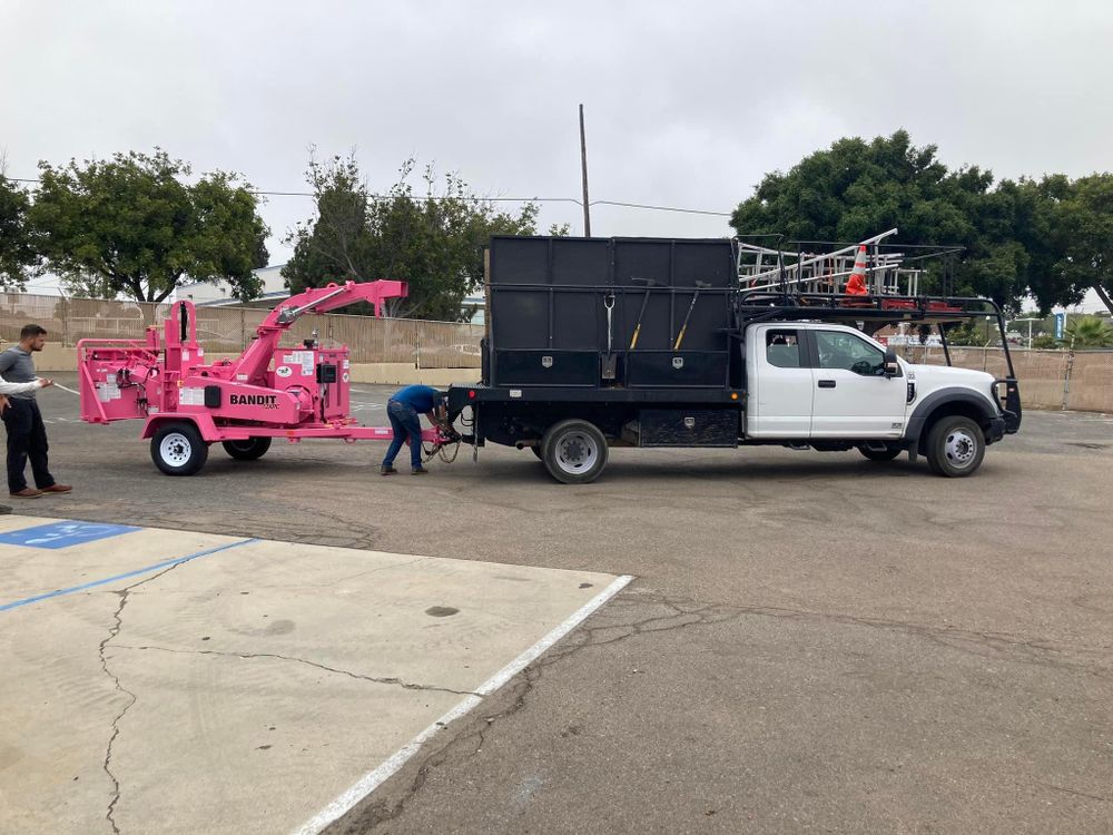 Property Clean Up for The Tree Fairy in Temecula, CA