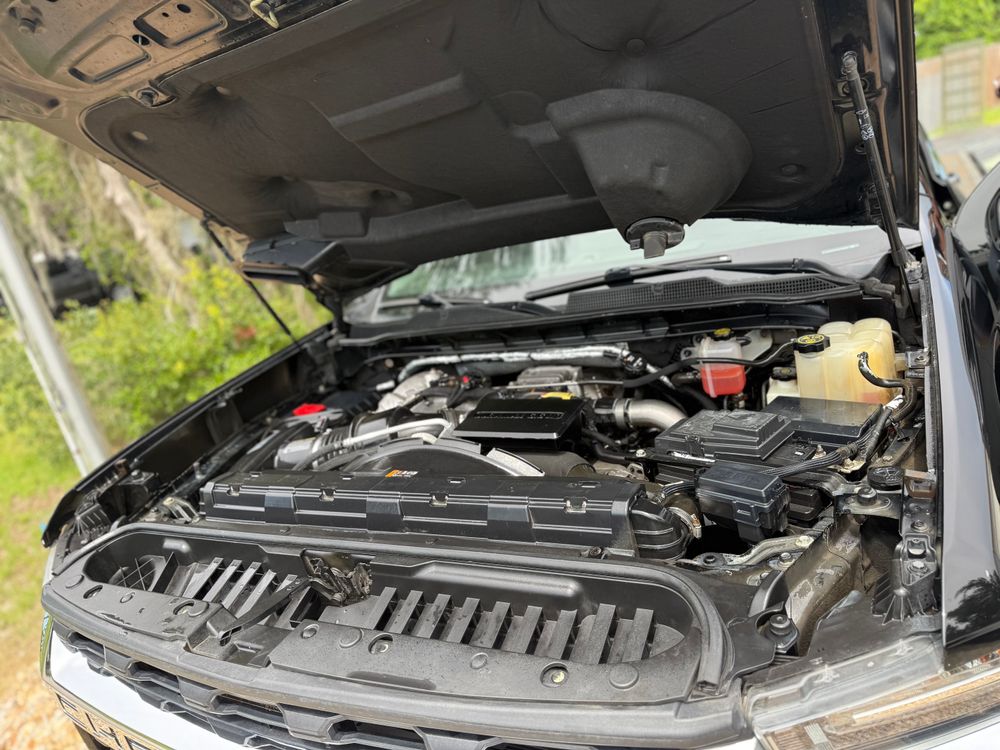 All Photos for Shine My Ride Auto Detailing  in Orlando, FL