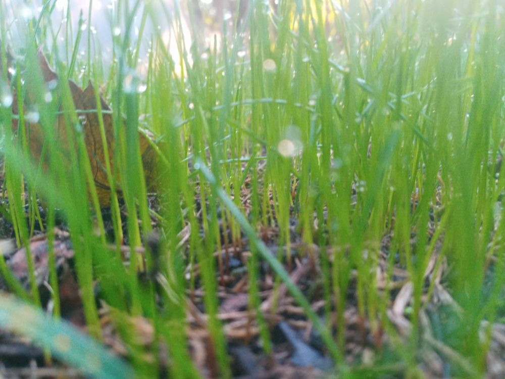 All Photos for Sam I AM Property Solutions in Sunderland, MD