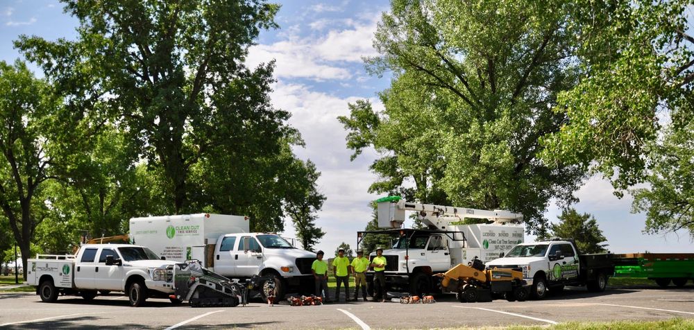 All Photos for Clean Cut Tree Service in Gillette, WY