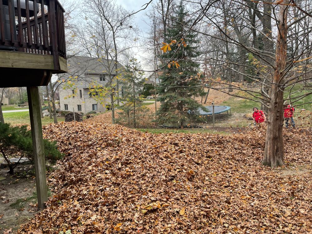 All Photos for Steed's Lawn and Landscape LLC in White Lake, MI