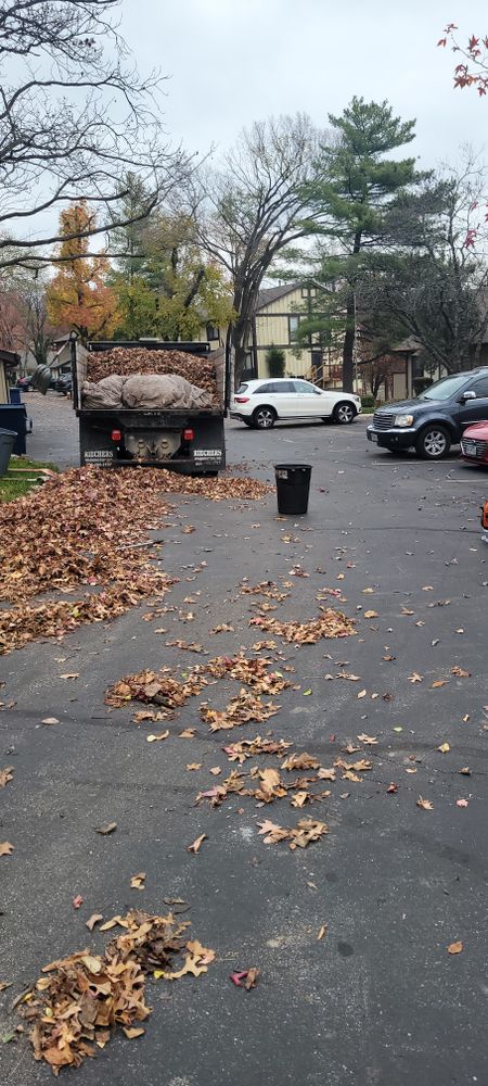 All Photos for Contemporary Landscape in St. Louis, MO