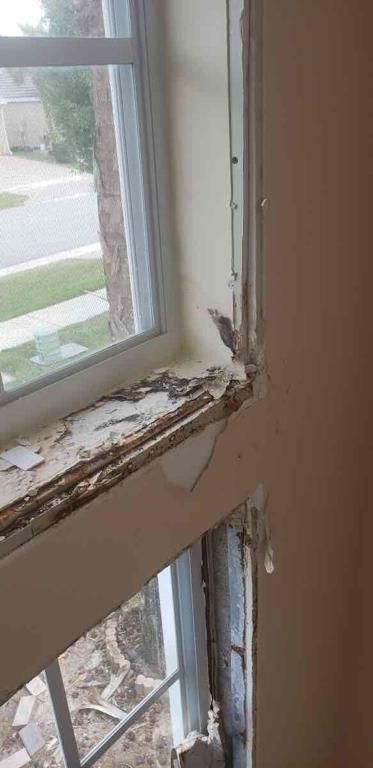 Our comprehensive Water Damage service swiftly restores your home by addressing leaks, flooding, and mold growth with expert remediation techniques to ensure safety and prevent further damage. Trust us for efficient recovery. for Titan Remediation Industries in West Palm Beach, FL